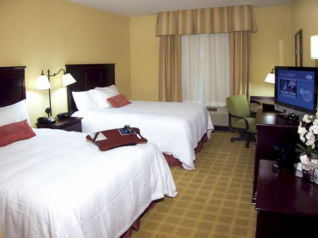 Hampton Inn Baton Rouge - Denham Springs Room photo